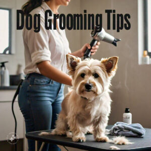 dog grooming tips
