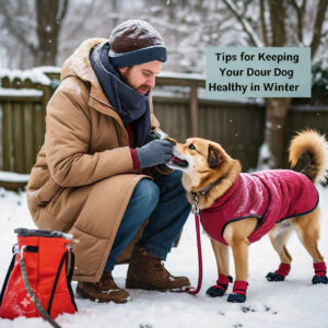  Tips for Keeping Your Dog Healthy in Winter